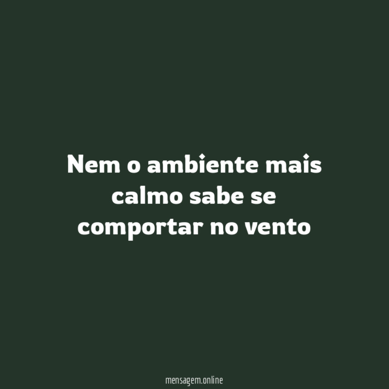 Nem o ambiente mais calmo sabe se comportar no vento