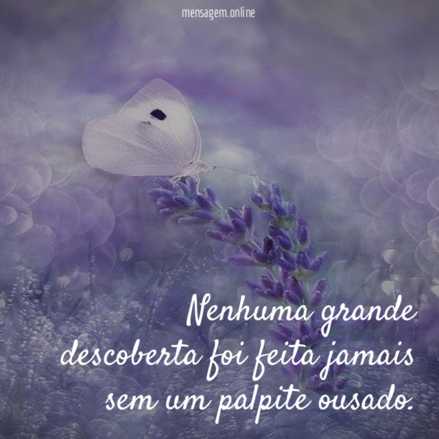 Nenhuma grande descoberta foi feita jamais sem um palpite ousado