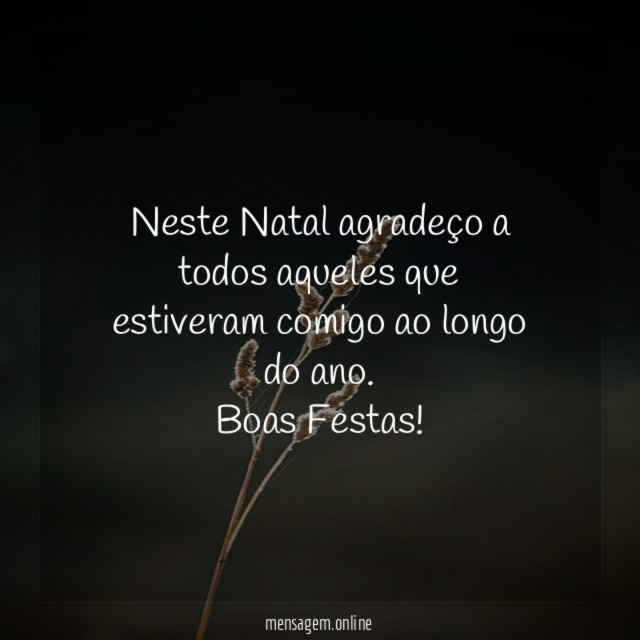 Neste Natal agradeço a todos aqueles que estiveram
