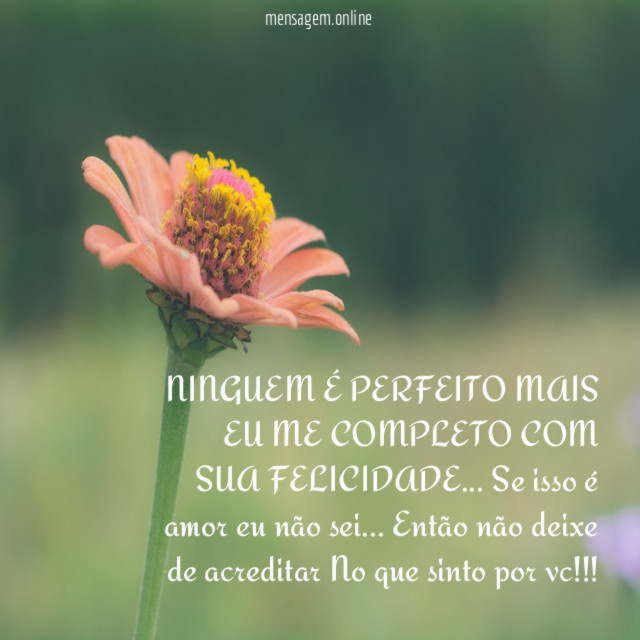 NINGUEM É PERFEITO MAIS EU ME COMPLETO COM SUA FELICIDADE