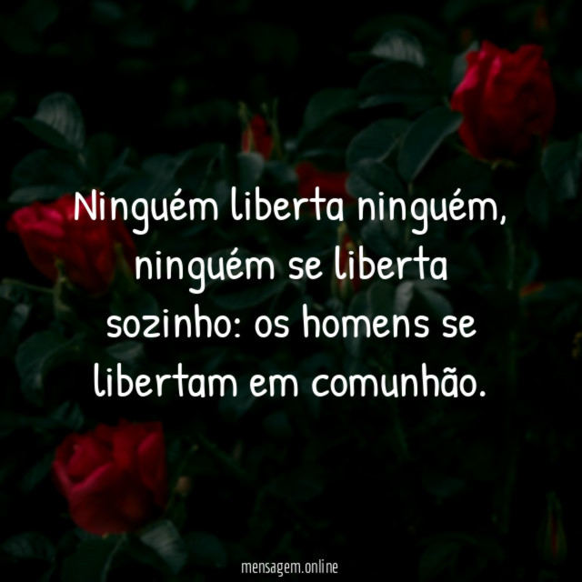 Ninguém liberta ninguém