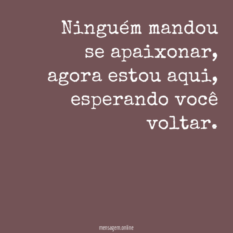 Ninguém mandou se apaixonar