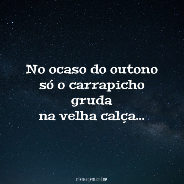 No ocaso do outono só o carrapicho gruda na velha calça