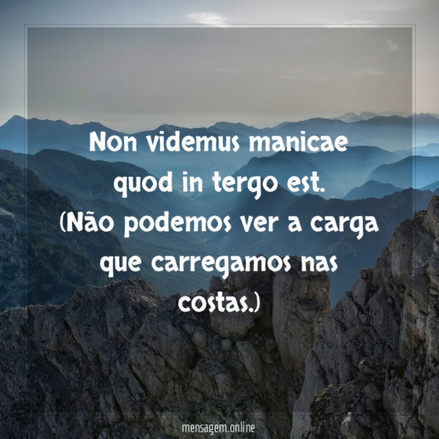 Non videmus manicae quod in tergo est