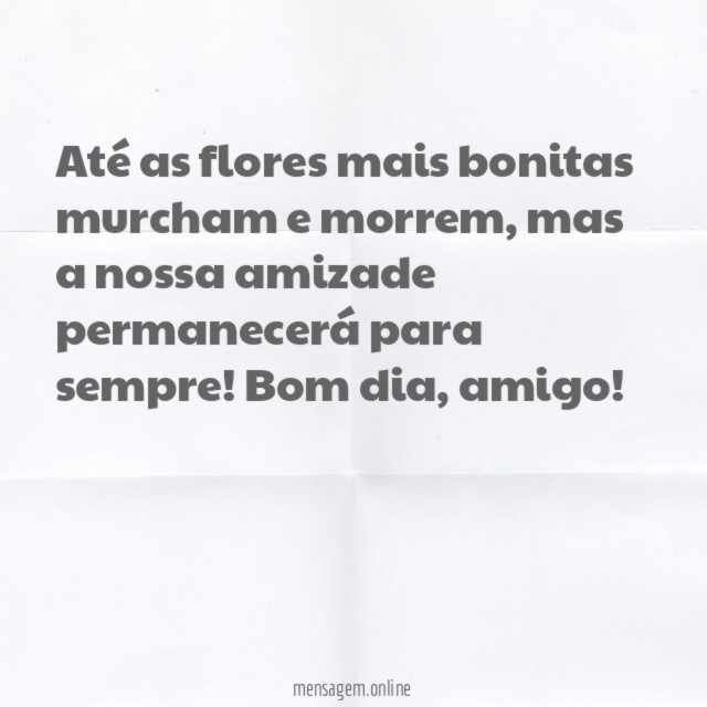 Nossa amizade