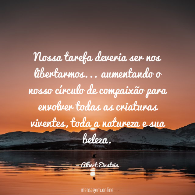 Nossa tarefa deveria ser nos libertarmos