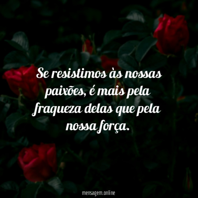 Nossas Paixões