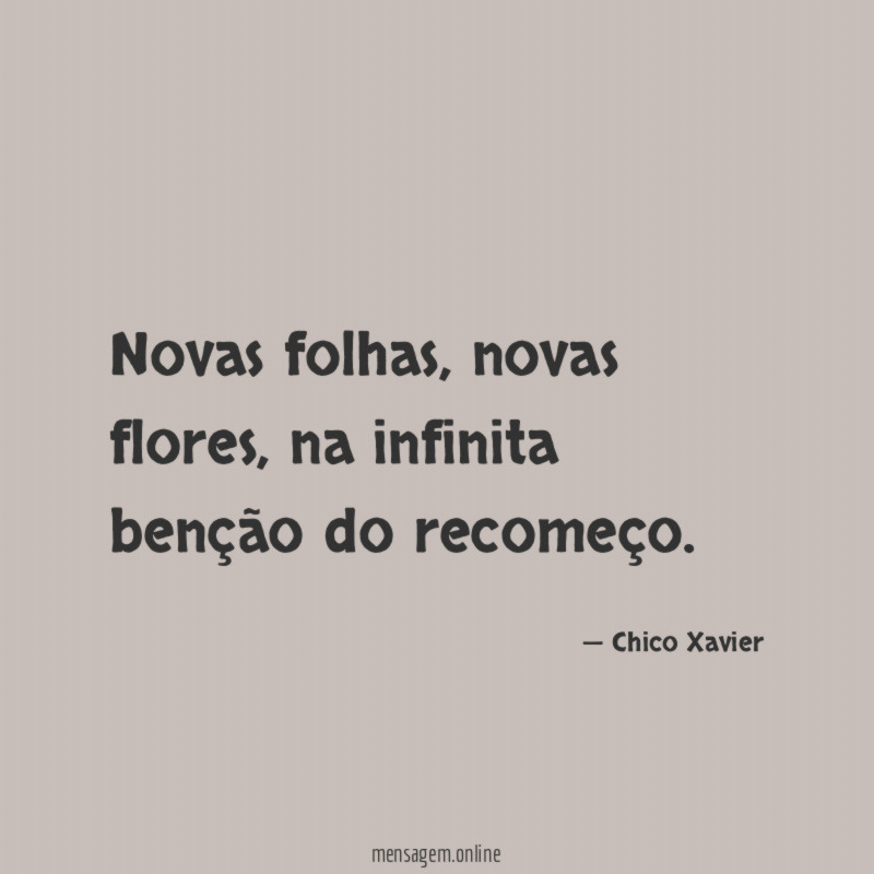 Novas folhas