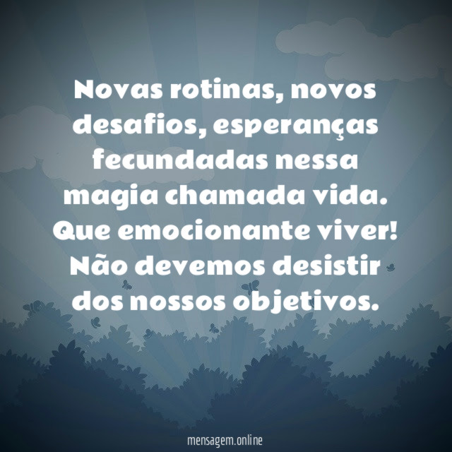 Novas rotinas