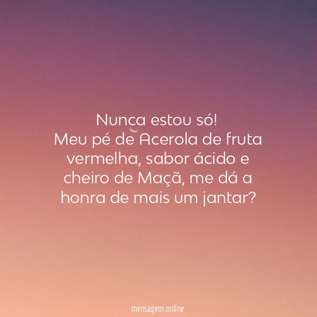Nunca estou só