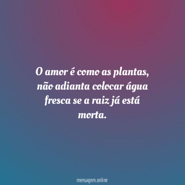 O amor é como as plantas