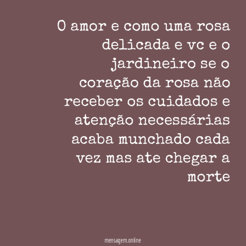 o amor e como uma rosa delicada