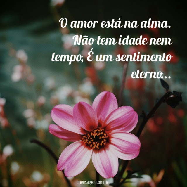 O amor está na alma