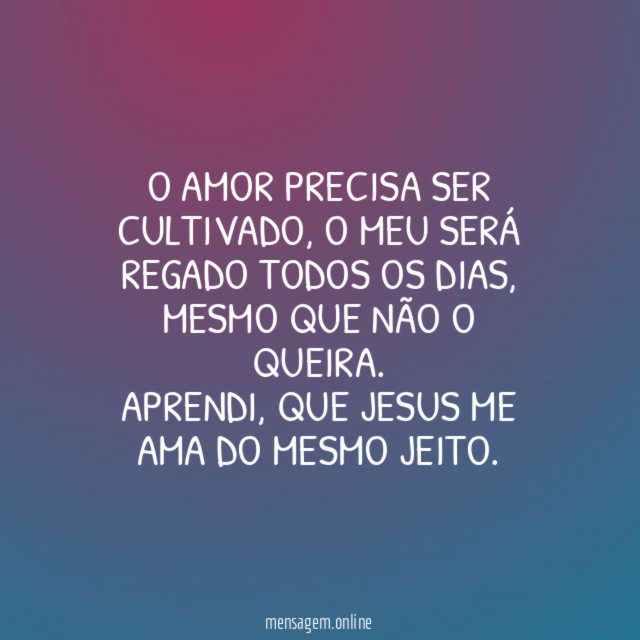 O AMOR PRECISA SER CULTIVADO