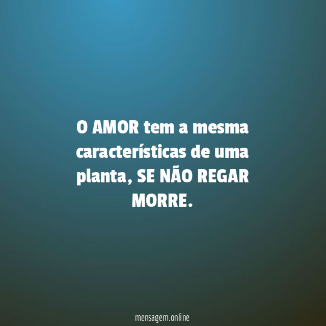 O AMOR tem a mesma características de uma planta