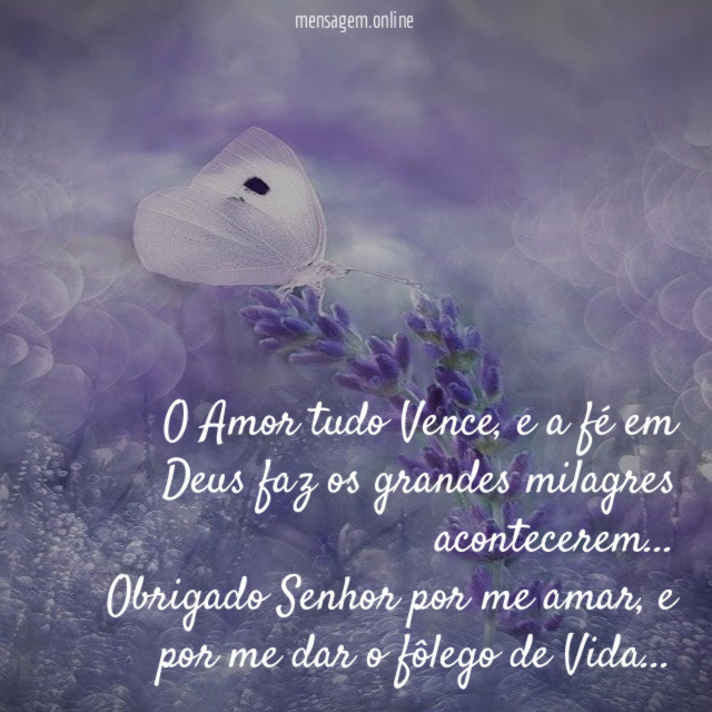 O Amor tudo Vence