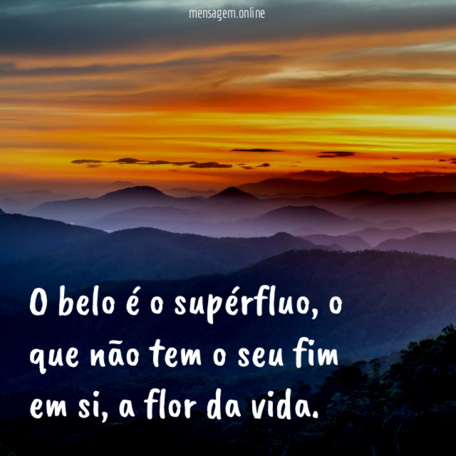 O belo é o supérfluo