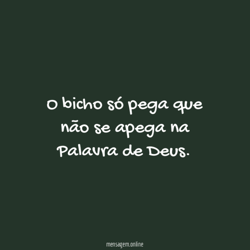 O bicho só pega que não se apega