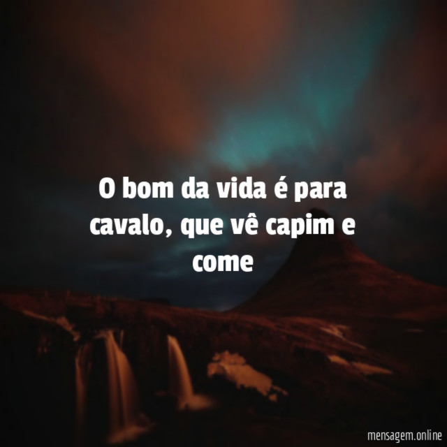 O bom da vida é para cavalo