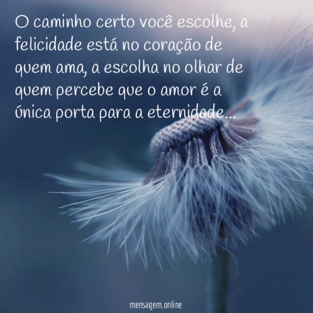 O caminho certo você escolhe