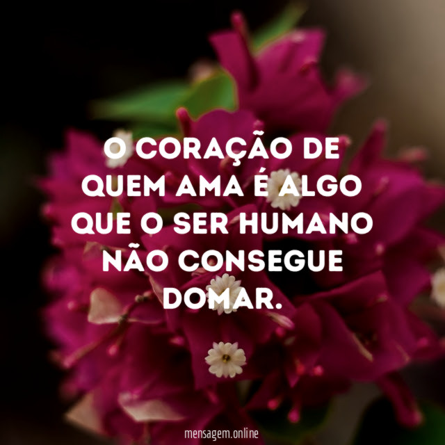 O coração de quem ama é algo que