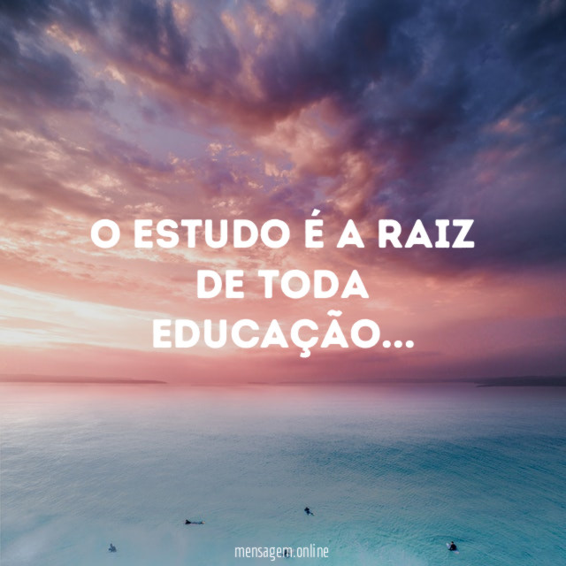 O estudo é a raiz de toda educação