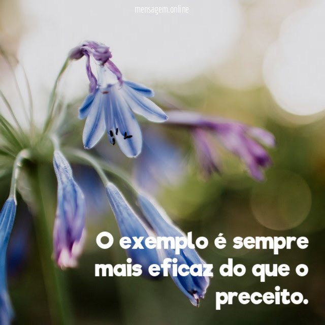 O exemplo é sempre mais eficaz do que o preceito