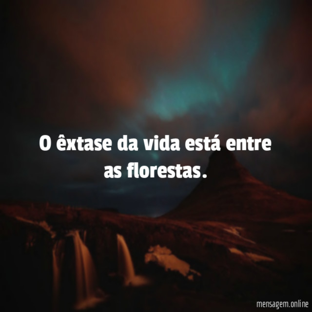 O êxtase da vida está entre as florestas