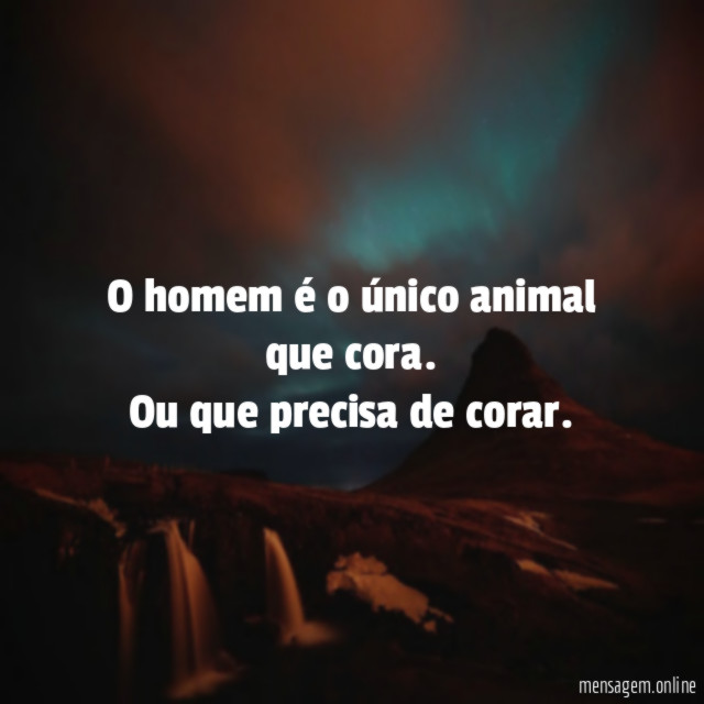 O homem é o único animal que cora