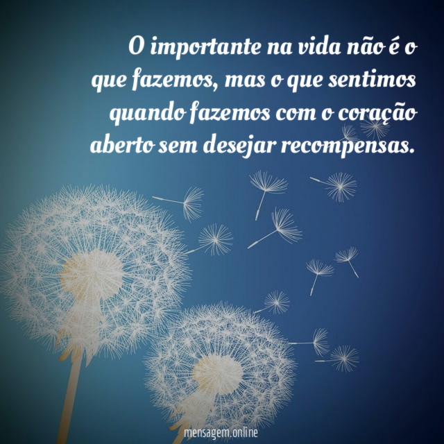 O importante na vida não é o que fazemos