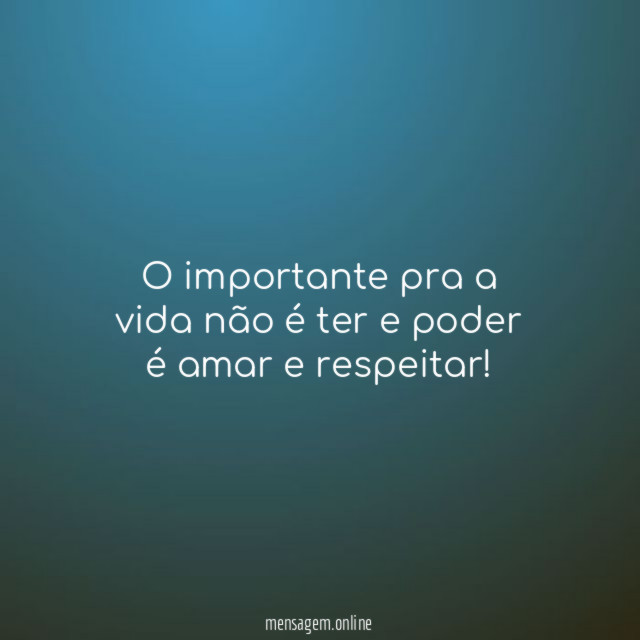 O importante pra a vida não é ter