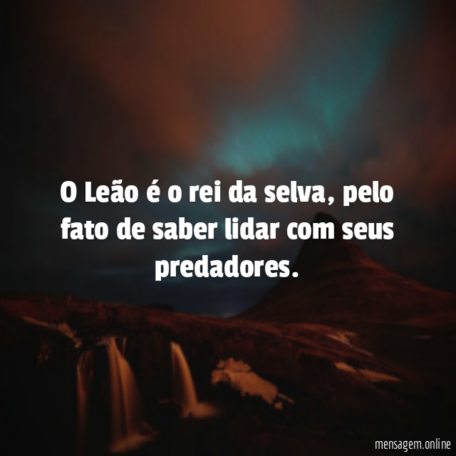 O Leão é o rei da selva