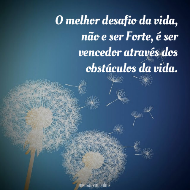 O melhor desafio da vida