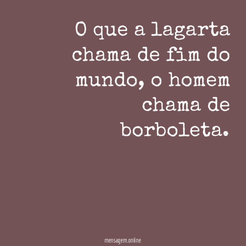 O que a lagarta chama de fim do mundo
