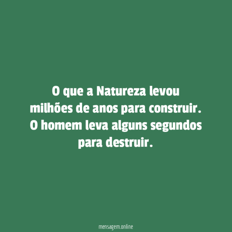 O que a Natureza levou milhões de anos para construir