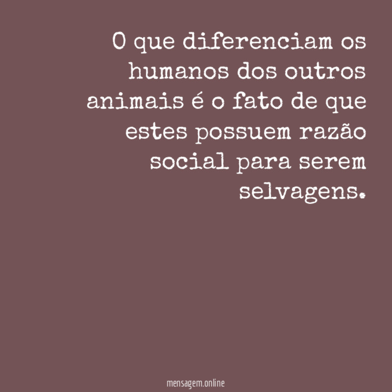 O que diferenciam os humanos dos outros animais