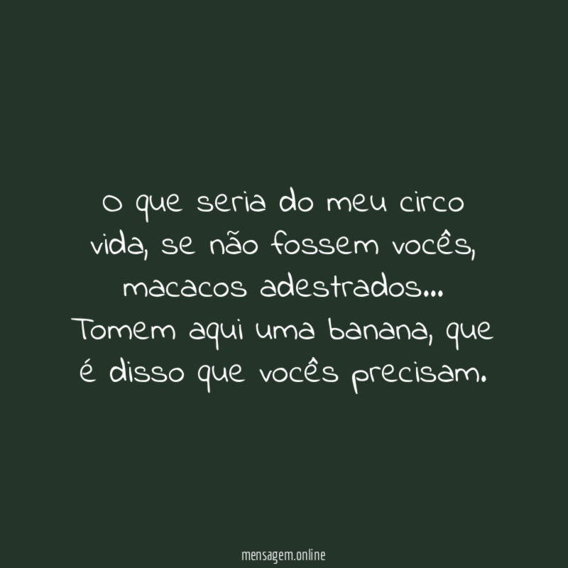 O que seria do meu circo vida