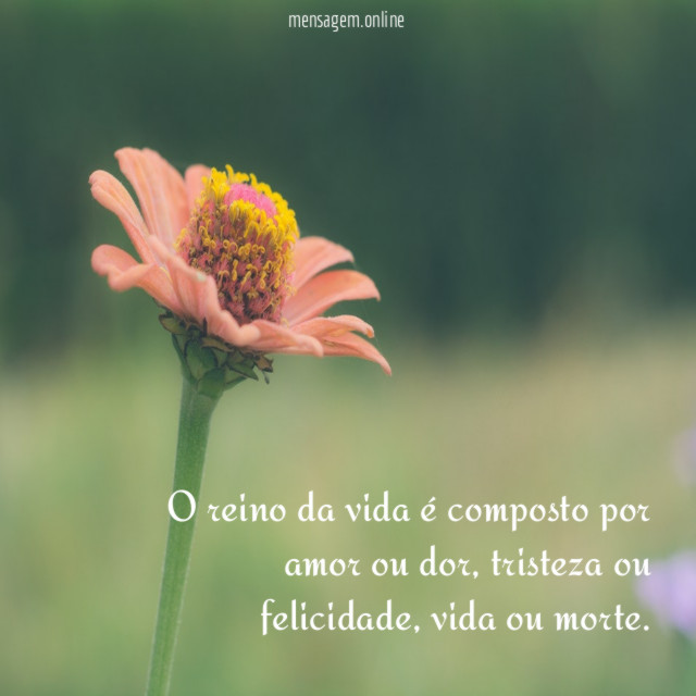 O reino da vida é composto por amor ou dor