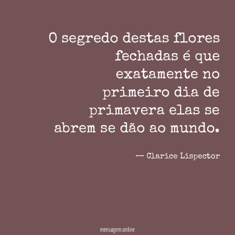 O segredo destas flores fechadas é que exatamente