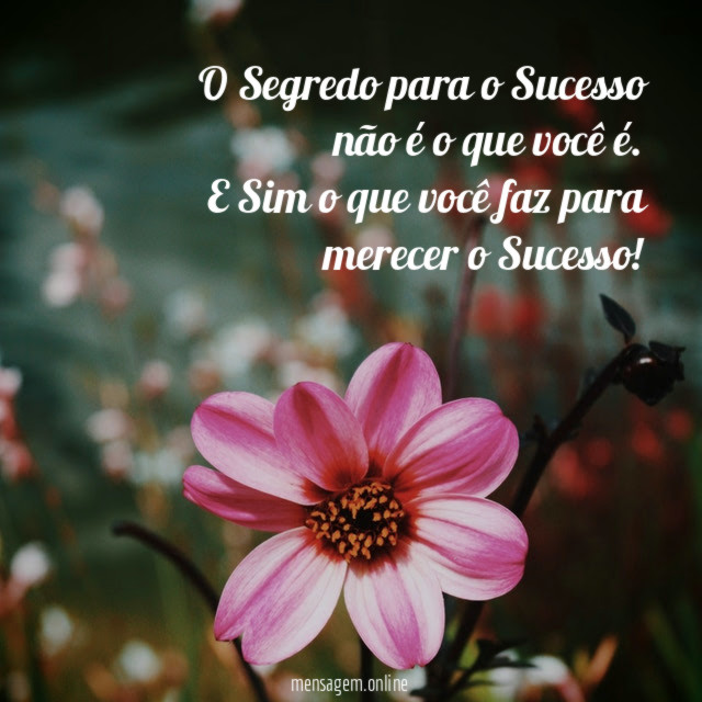 O Segredo para o Sucesso não é o que você é