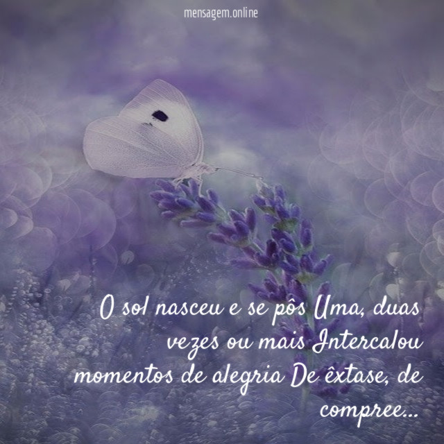 O sol nasceu e se pôs Uma