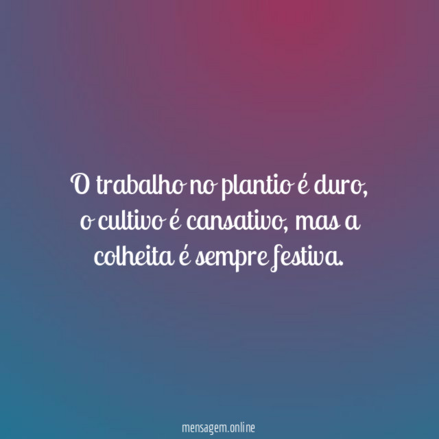 O trabalho no plantio é duro