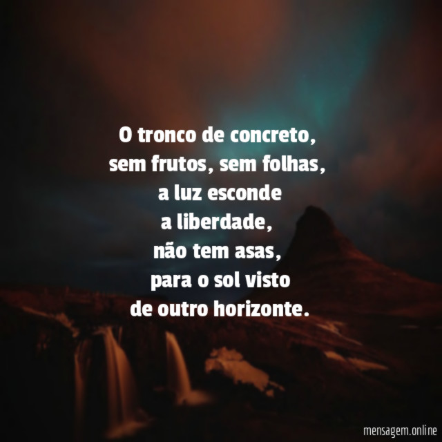 O tronco de concreto