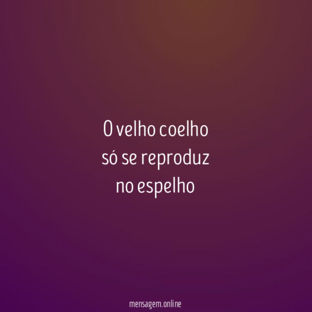 o velho coelho só se reproduz no espelho