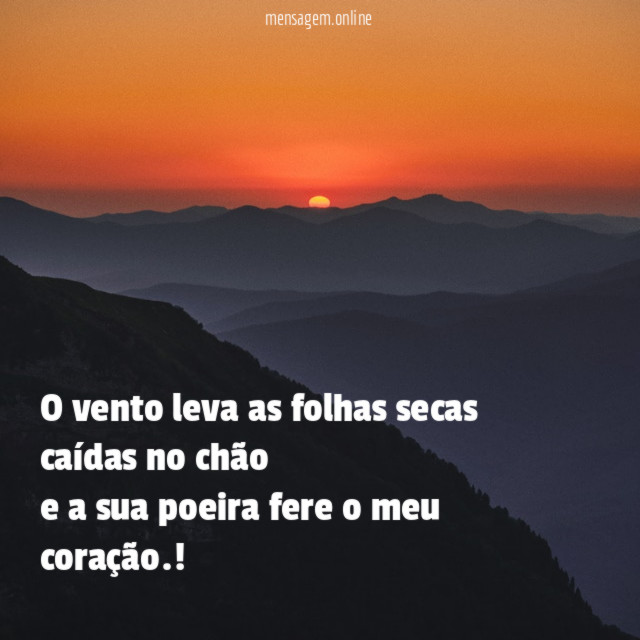 O vento leva as folhas secas caídas no