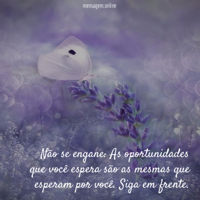 Oportunidades