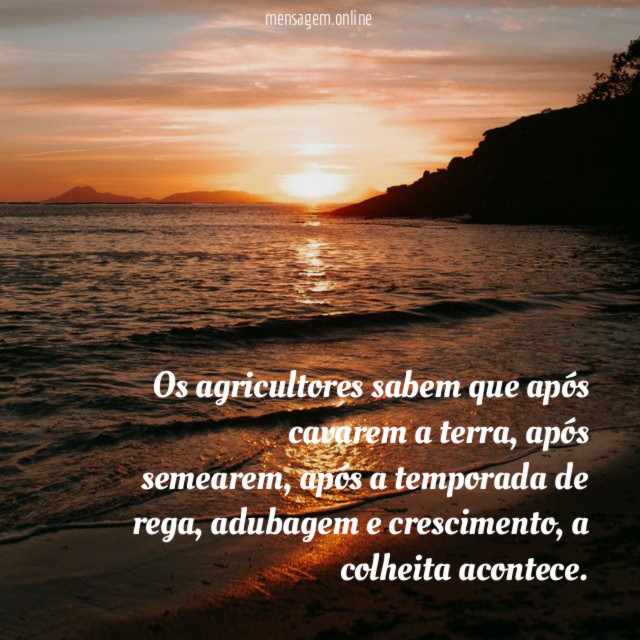 Os agricultores sabem que após cavarem a terra