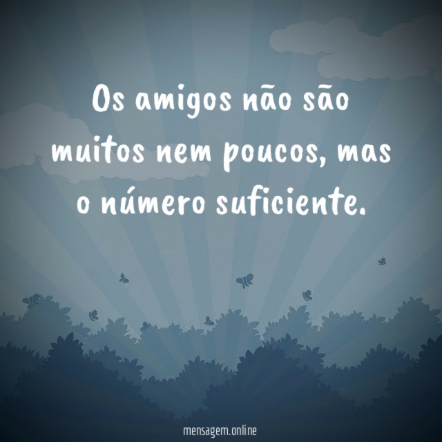 Os amigos não são muitos nem poucos