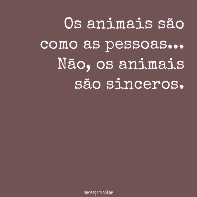 Os animais são como as pessoas
