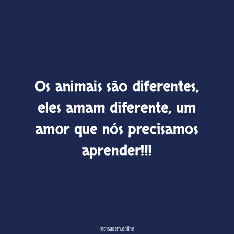 Os animais são diferentes